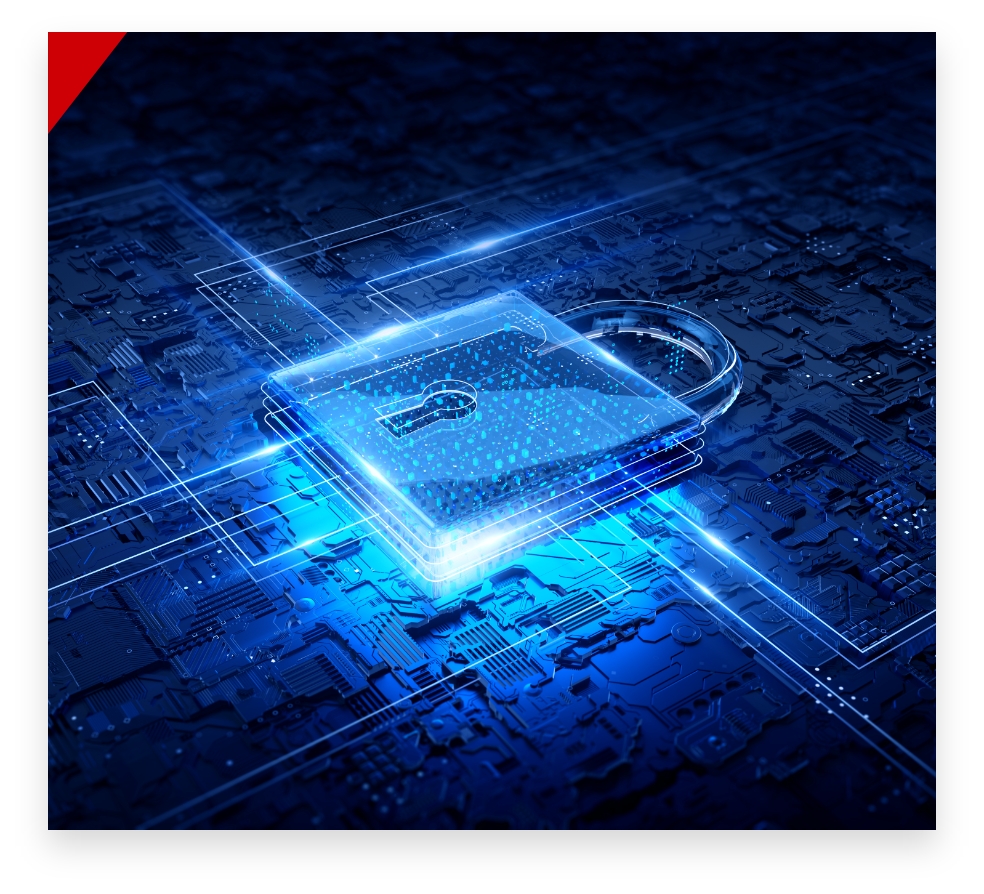 Vulnerability Remediation and Security Services